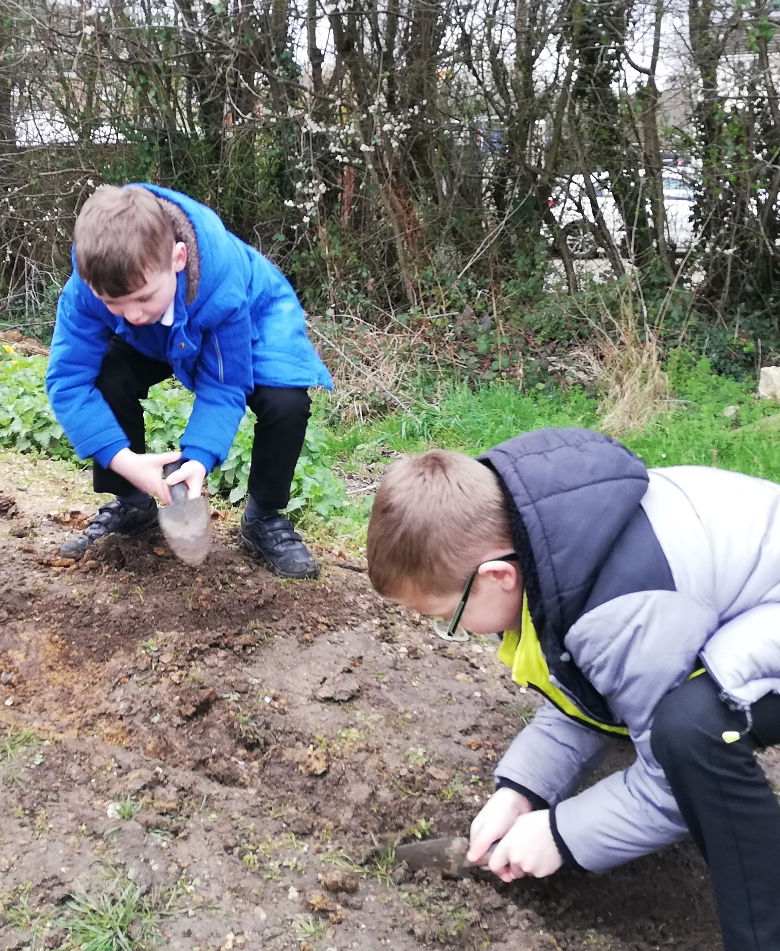 Denmead Junior School - Digging Deep in Lower School