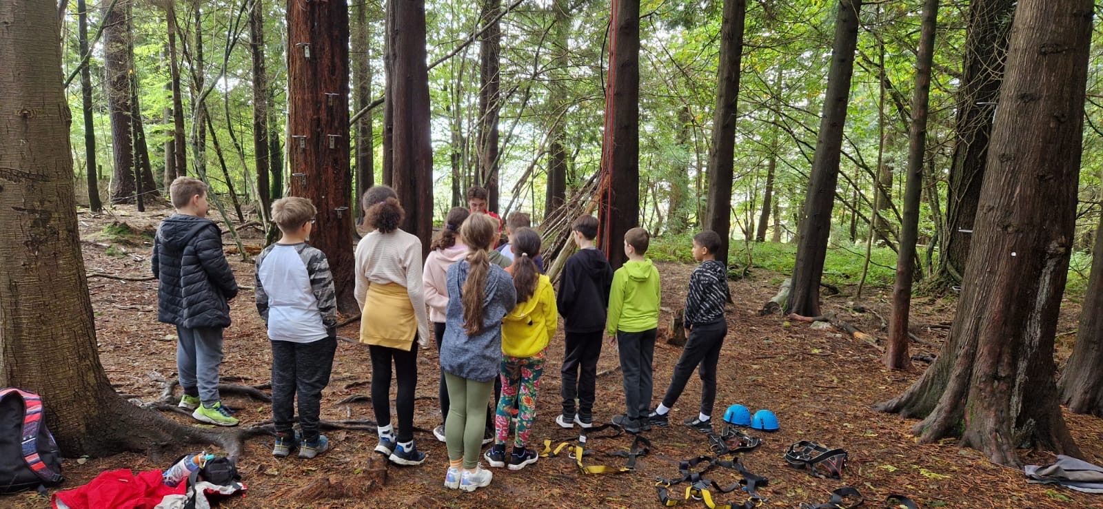 Photo of children in the woods