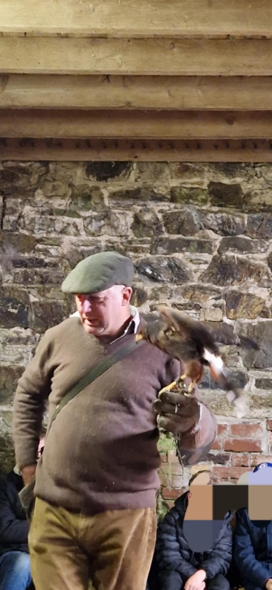 Picture off Falconry