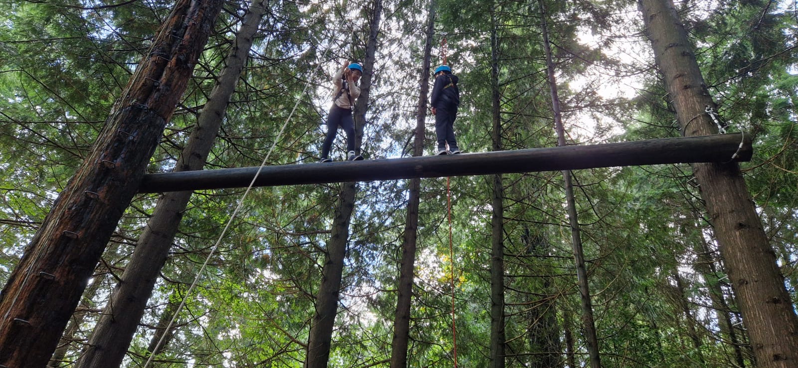 Photo of children balancing on wooden pole in the woods