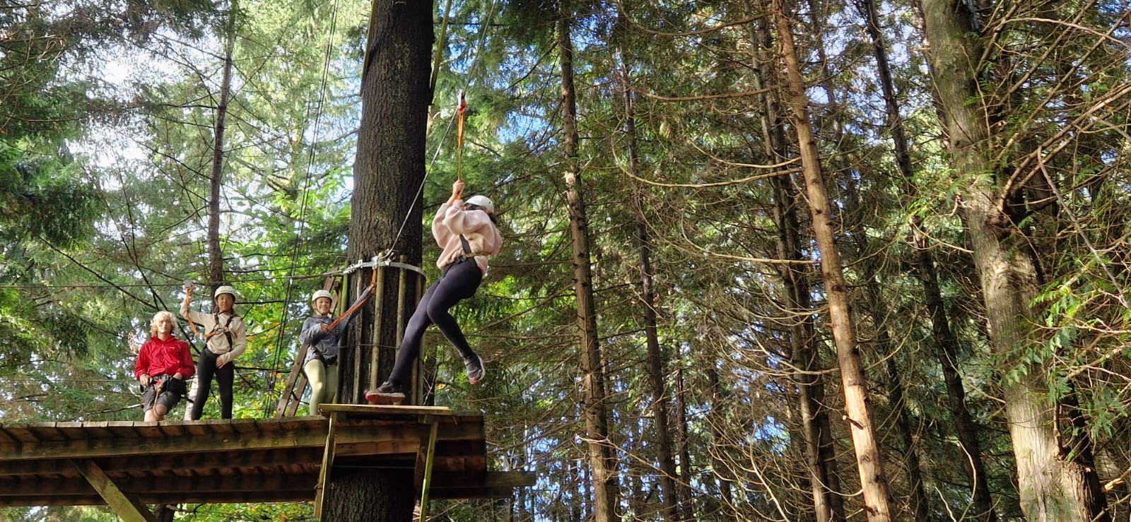 Photo of children swinging  on ropes