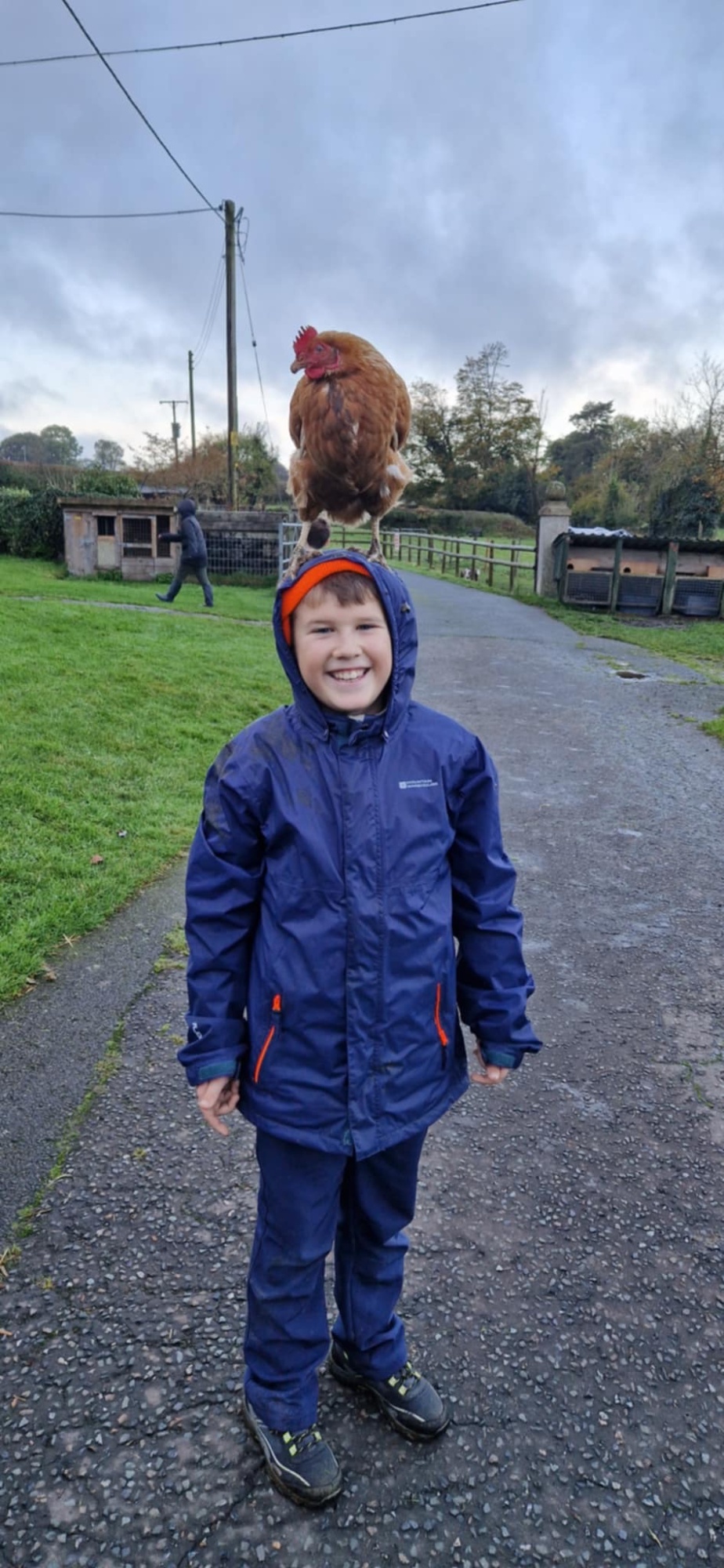 Photo of child with chicken on his head